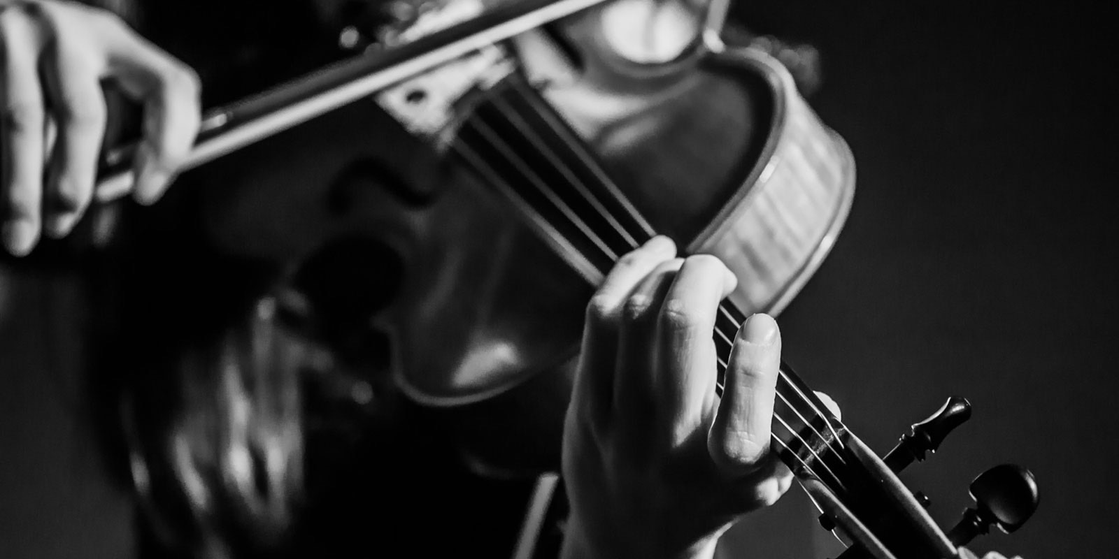 lucy lastic band, barn dance devon, barn dance somerset, ceilidh devon, ceilidh somerset